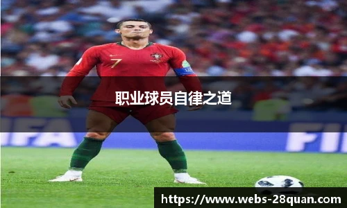 28圈游戏